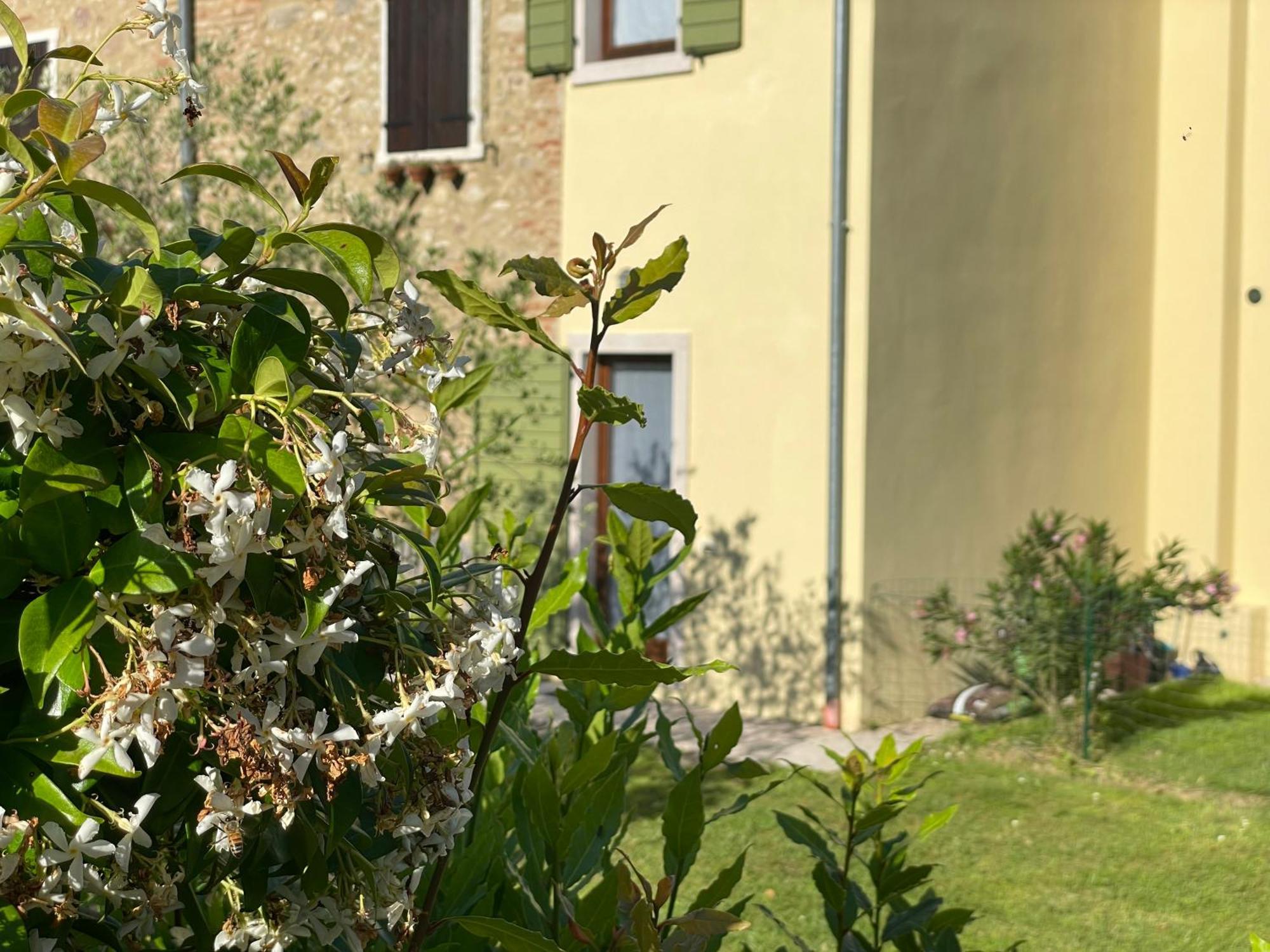 Casa Carlotte - Lago Di Garda Lazise Dış mekan fotoğraf