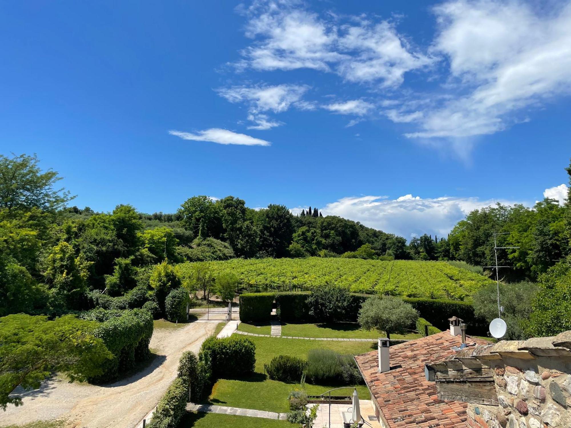 Casa Carlotte - Lago Di Garda Lazise Dış mekan fotoğraf