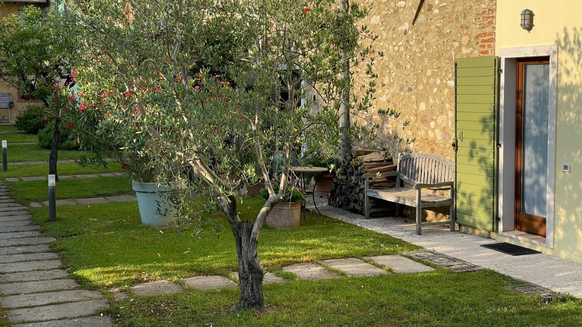 Casa Carlotte - Lago Di Garda Lazise Dış mekan fotoğraf